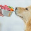 Videocorso - L’importanza di una dieta bilanciata: fabbisogni nutrizionali, vitamine e minerali