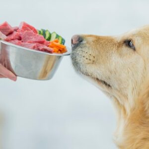 Videocorso - L’importanza di una dieta bilanciata: fabbisogni nutrizionali, vitamine e minerali