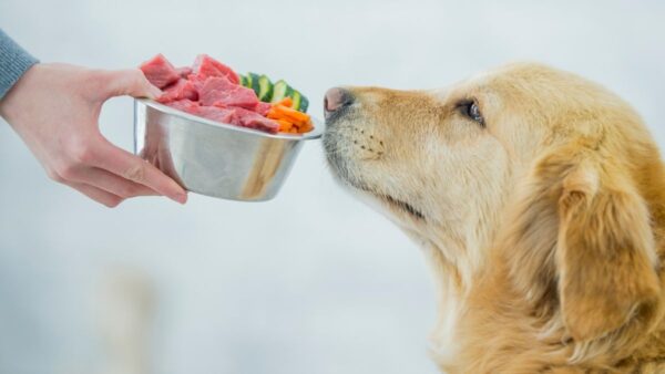Videocorso - L’importanza di una dieta bilanciata: fabbisogni nutrizionali, vitamine e minerali (premium)