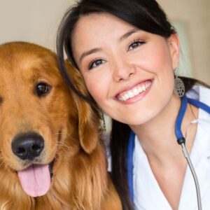 Videocorso - Prevenzione nel cane: la visita medica regolare