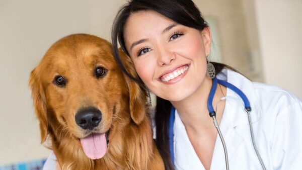 Videocorso - Prevenzione nel cane: la visita medica regolare