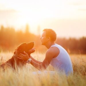 Consulenza - Consigli per una buona relazione e convivenza con il cane