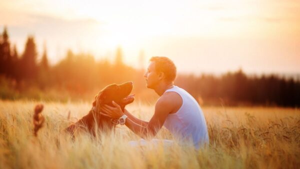Consulenza - Consigli per una buona relazione e convivenza con il cane