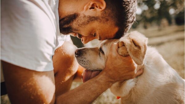 Videocorso - I fondamenti del legame affettivo nella relazione con il cane